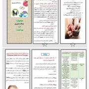 بهداشت باروری