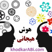 هوش هیجانی.خودکار آبی دات کام