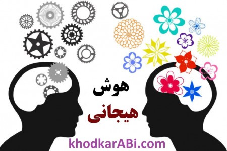 هوش هیجانی.خودکار آبی دات کام