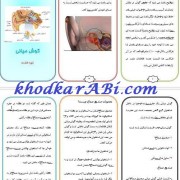 گوش میانی. خودکارآبی دات کام