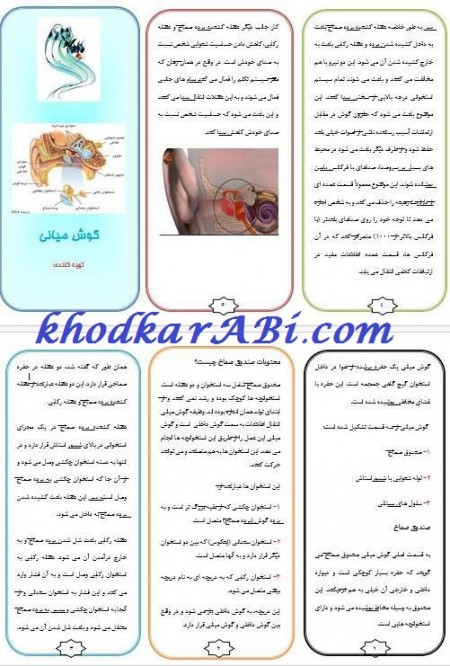 گوش میانی. خودکارآبی دات کام
