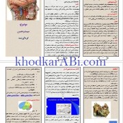بروشور سیستم عصبی_خودکار آبی دات کام