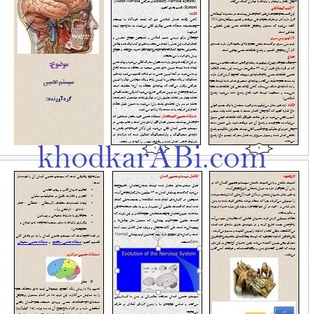 بروشور سیستم عصبی_خودکار آبی دات کام