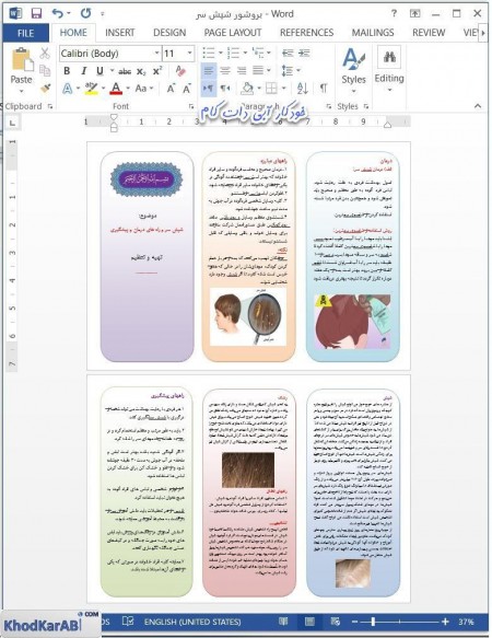 بروشور شپش سر