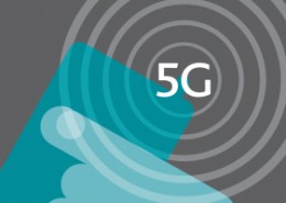 5dg
